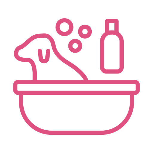 Hizmetler - Ustalık Sınıfları