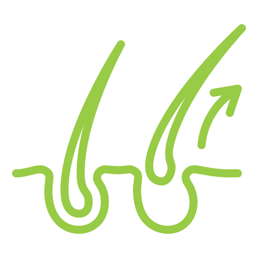 Hizmetler - Yaratıcı Bakım